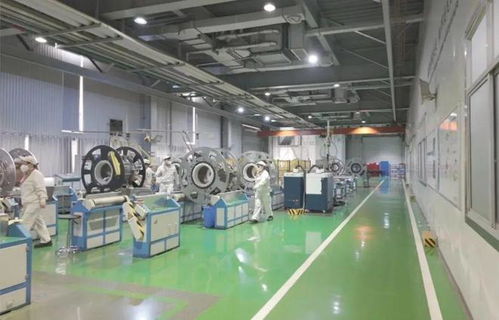 以教育之強(qiáng)譜寫高質(zhì)量發(fā)展新篇 浙大勇?lián)姑遗c教育強(qiáng)國(guó)共成長(zhǎng)